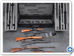 gun case view 6